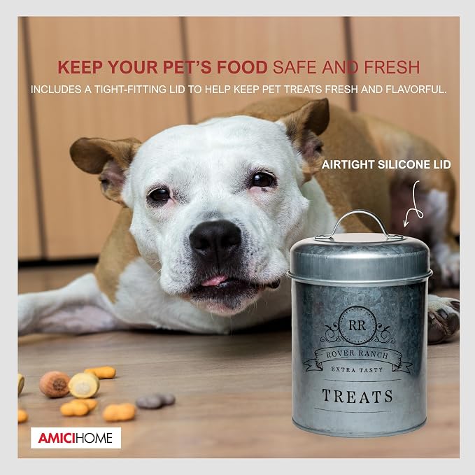 Amici Home Rover Ranch Metal Pet Treat Canister, 64 Oz - Silver