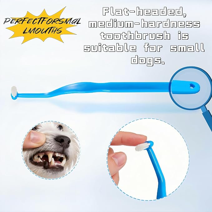 CGO Kitten Toothbrush Kit - 3 Piece Cat and Kitten Tooth Brushing Set with Ultra Soft Bristles, Dental Care for Small Cats, Kittens & Puppies
