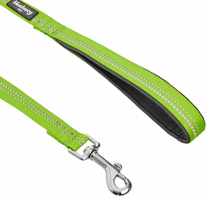 Blueberry Pet 3M Reflective Pastel Color Dog Leash with Soft & Comfortable Handle, 4 ft x 1", Green Flash, Large, Leashes for Dogs