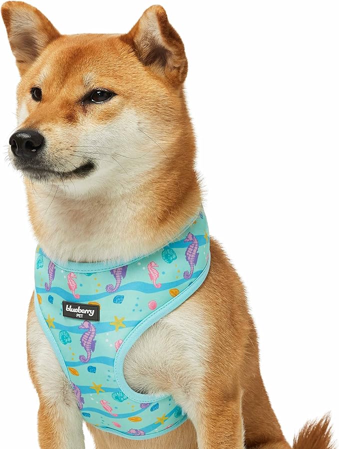 Blueberry Pet Summer Sparkle Dog Harness Vest, Adjustable Small Size, Chest Girth 16" - 21", Turquoise, Ocean Fish and Seahorse Print Nautical Pet Harness
