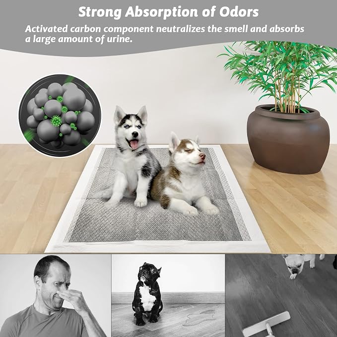 Fhiny Pee Pads for Dogs, 24" x 36" 20 PCS Extra Large Disposable Puppy Pads Leak-Proof Super Absorbent Charcoal Potty Training Pad with Quick-Dry Surface for Dogs Puppies Cats Kittens or Small Pets