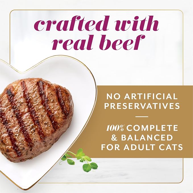 Purina Fancy Feast Gems Wet Cat Food with Beef, 4 oz boxes, 8-Pack
