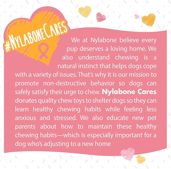 Nylabone Power Chew Breast Cancer Awareness Femur Bone Chew Toy for Dogs, Indestructible Dog Toys for Aggressive Chewers, Chicken Flavor, X-Large/Souper (1 Count) | X-large, chicken flavor, teeth-cleaning textures, durable dog toys for aggressive chewe...