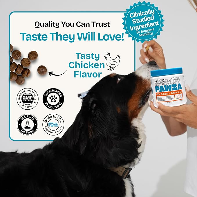 Skin & Coat + Salmon Oil Supplement for Dogs – Norwegian Salmon Oil with Omega 3, Biotin & Zinc per Serving – Supports Healthy Skin & a Soft, Shiny Coat – 120 Soft Chews