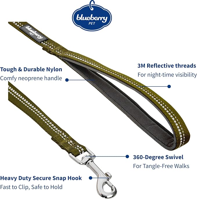 Blueberry Pet 3M Reflective Pastel Color Dog Leash with Soft & Comfortable Handle, 4 ft x 1", Olive Green, Large, Leashes for Dogs