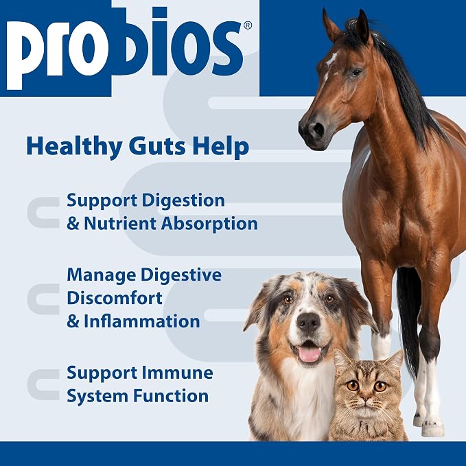 Probios Digestive Support Powder for Pets, 5 lb