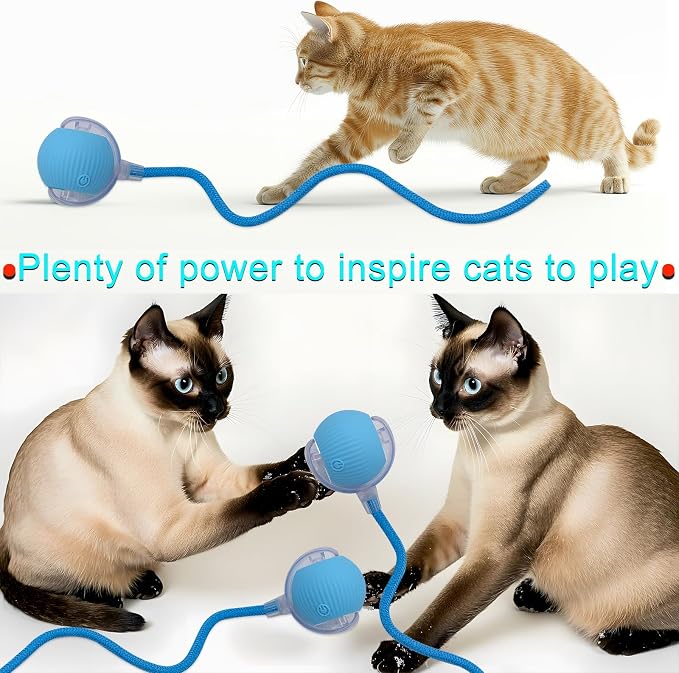 Interactive Cat Dog Toy Ball with LED Light, Automatic Rolling(Blue) | String Tail and LED Light Design, Motion Activated, Suitable for Interactive Indoor Pet Play and Exercise