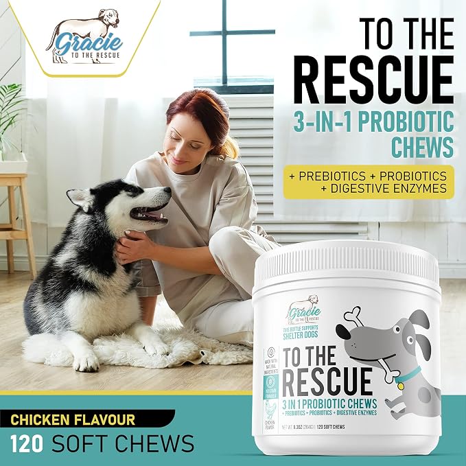 Probiotic Chews for Dogs, Support Digestive Health, Dog Probiotics and Digestive Enzymes, Dog Probiotic Chews, Probiotic Dogs, Puppy Probiotic, Pet Probiotics for Dogs - 120 Soft Chews