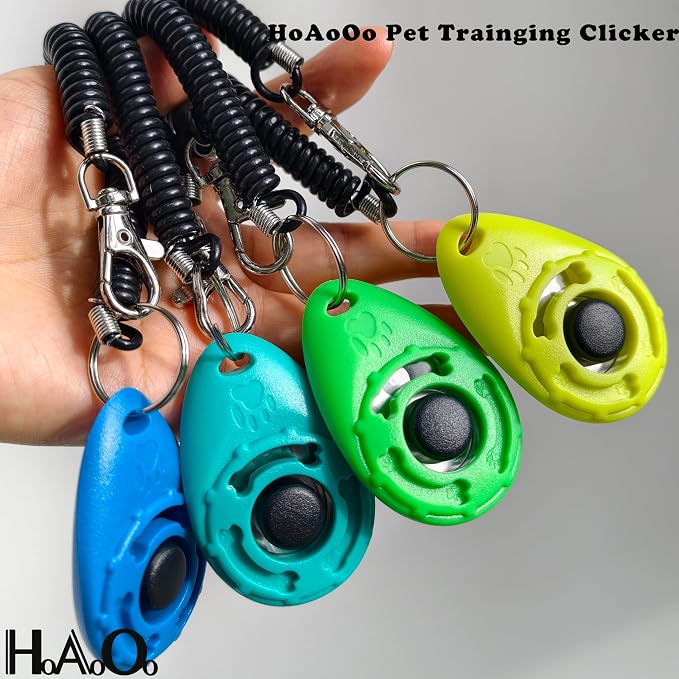 Pet Training Clicker with Wrist Strap, Aqua/Jade Green/Blue/Lime Green