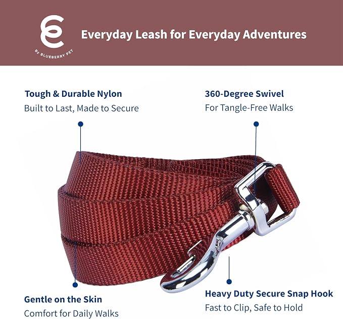 Blueberry Pet Essentials Fired Brick Dog Leash for Small -5' * 5/8" Dogs | Heavy Duty Nylon Lead | Lightweight Puppy & Cat Leash for Walking & Training