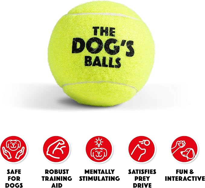 The Dog's Balls Dog Tennis Balls Tough 2.5" 12-Pack Yellow Floats in Water | Our fetch balls combine non-abrasive felt exterior and a thicker rubber core Durable Dog Toy for Outdoor Play & Training