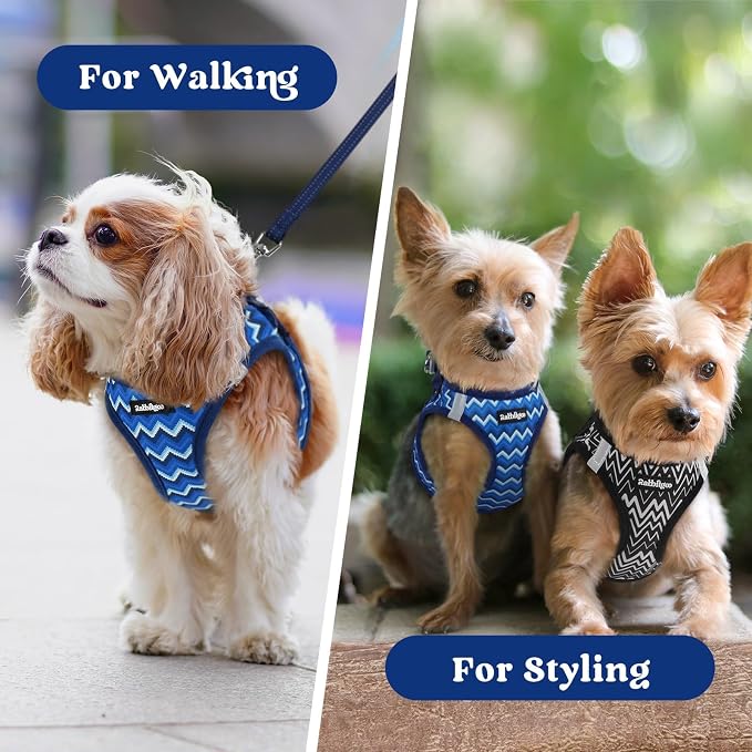 rabbitgoo Step-in Small Dog Harness, Puppy Vest for Small Sized Pet | Easy Put on and off, Lightweight, Soft, Breathable Quick-Dry Air Mesh for Comfortable Secure Walking, Blue Zigzag S