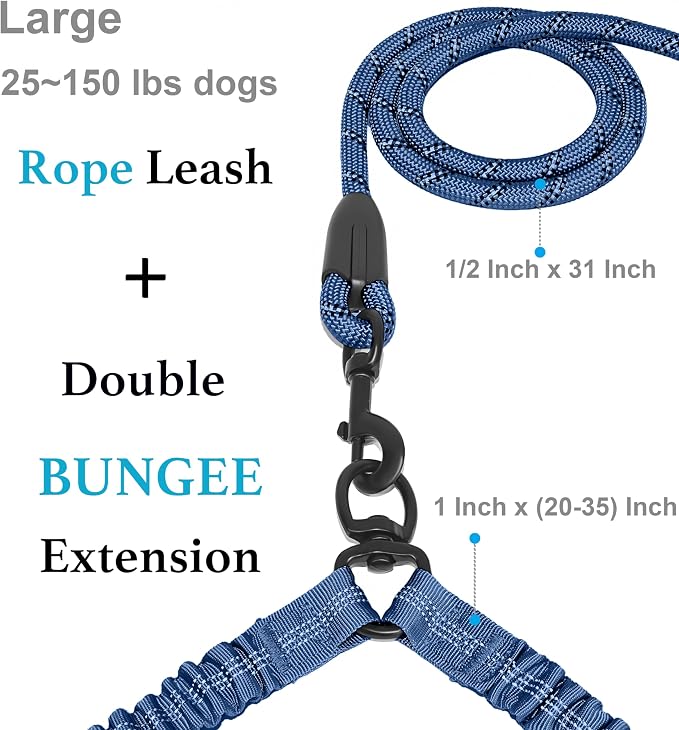 iYoShop Double Dog Leash, 360° Swivel, No Tangle, Large, True Navy | Dual Leash for Two Dogs, Split Leash, Shock-Absorbing Bungee, Padded Handle, Heavy-Duty Rope