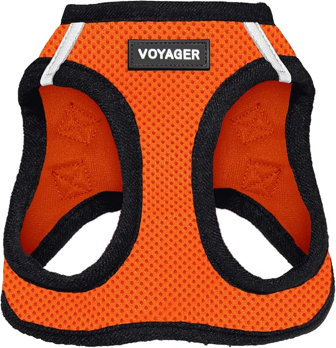 Best Pet Supplies Voyager Step-in Air Dog Harness - All Weather Mesh Step in Vest Harness for Small and Medium Dogs by - Orange Base, XXXS