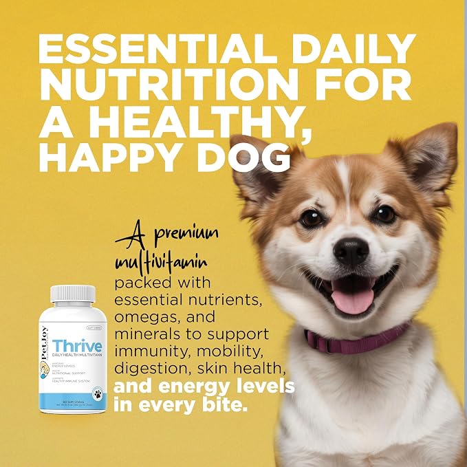 PetJoy Thrive Dog Multivitamin Soft Chew - Daily Dog Vitamins for Energy, Healthy Skin & Coat, and Stronger Bones & Teeth - Complete Support Supplement, Multivitamin for Dogs & Pets (60 Count)