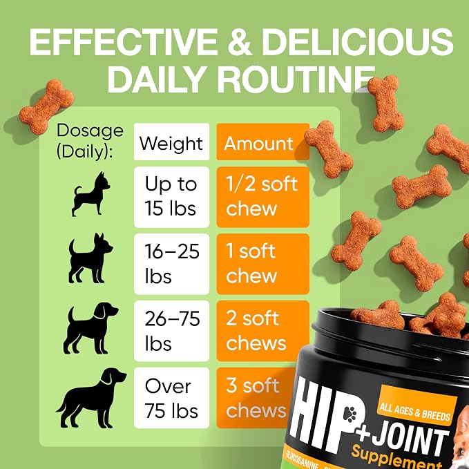 Hip and Joint Supplement for Dogs with Glucosamine, Chondroitin & MSM
