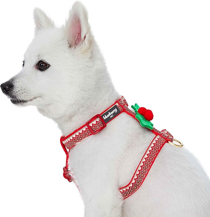 Blueberry Pet Christmas Zigzag Chevron No Pull Dog Harness with Holly Décor, Medium, Adjustable Harnesses for Dogs