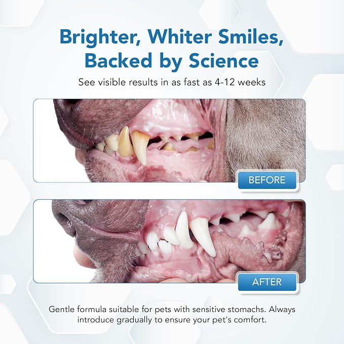 Dental Powder for Dogs - Plaque Control & Tartar Remover, Breath Freshener