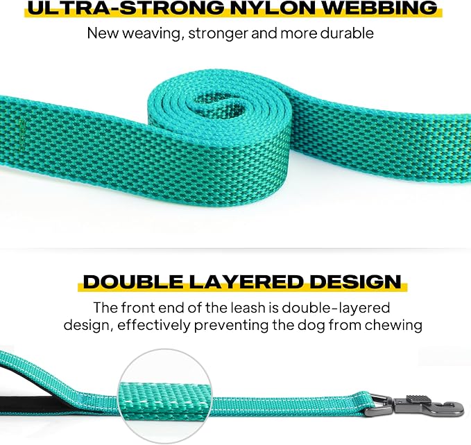 Fida 5 FT Heavy Duty Dog Leash with 2 Comfortable Padded Handles, Traffic Handle & Advanced Easy Snap Hook, Reflective Walking Lead for Large, Medium & Small Breed Dogs, Teal