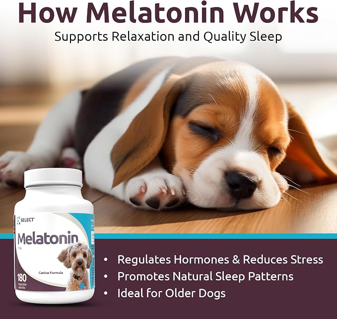 K9 Select Melatonin for Dogs, Small