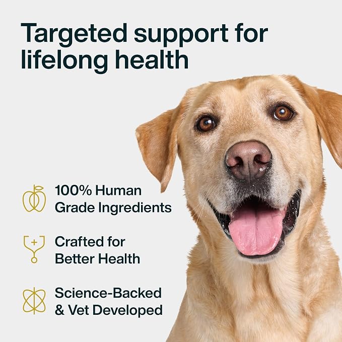 JustFoodForDogs 10-in-1 Supplement for Dogs, Dog Multivitamin Chews - 45 Ct | Human Grade Dog Supplement for Immune, Skin and Joint Health, Omega 3 for Dogs, Superfood Blend, Plant Based Dog Vitamins