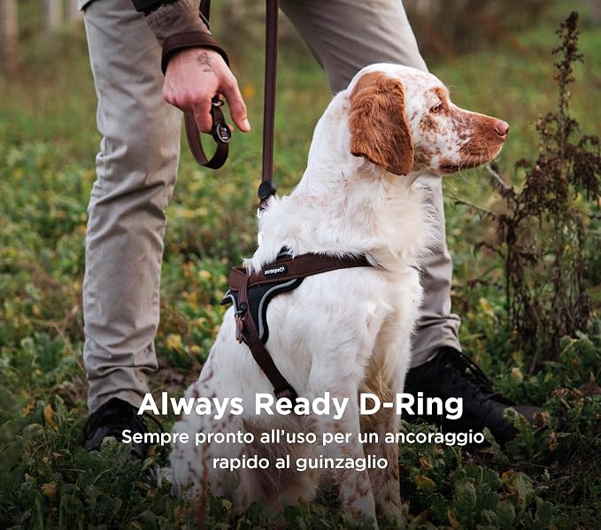 MyFamily Made in Italy Polyester Dog Bib, Your Dog's Master Data Always with You, Smartphone Connection with NFC Technology, Model K, memopet Collection