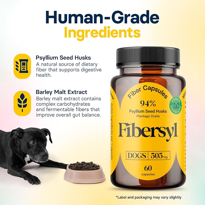 FiberSyl Prebiotics for Dogs - Psyllium Husk Fiber Supplement - 60 Capsules