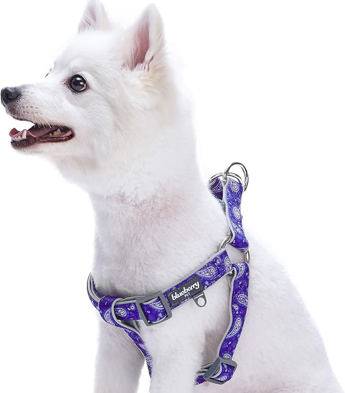 Blueberry Pet 5 Colors Soft & Comfy Step-in Paisley Flower Print Dog Harness, Chest Girth 20" - 26", Violet, Medium, Adjustable Harnesses for Dogs