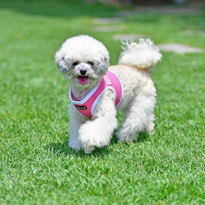 Puppia Soft Vest Harness B II - Pink - XXL