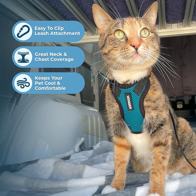 Voyager Escape-Proof Step-in Lock Cat Harness & 5ft Neoprene-Handle Leash Set All-Weather Mesh with Reflective Stitching for Small to Large Cats by Best Pet Supplies, Turquoise/Black Trim, XXXS