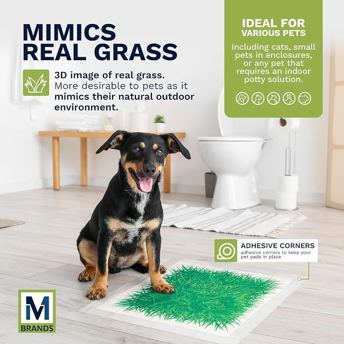 Big Dawg Pet Supplies Absorbent Puppy Pee Pads for Dogs & Cats – 24x24” Disposable Pet Pads – Handy Grab-n-Go Box – Potty Training & Housebreaking Supplies – Color, Grass – 40pc