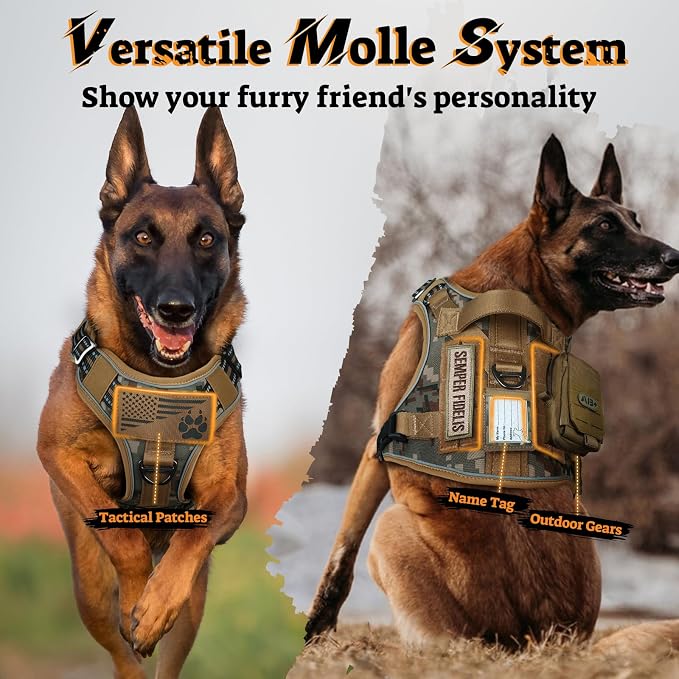 rabbitgoo Tactical Dog Harness for Large Dogs, No Pull Service Pet Vest | Military Molle System & Easy Control Handle, Adjustable and Reflective for Walking and Training, Desert Camo, X-Large