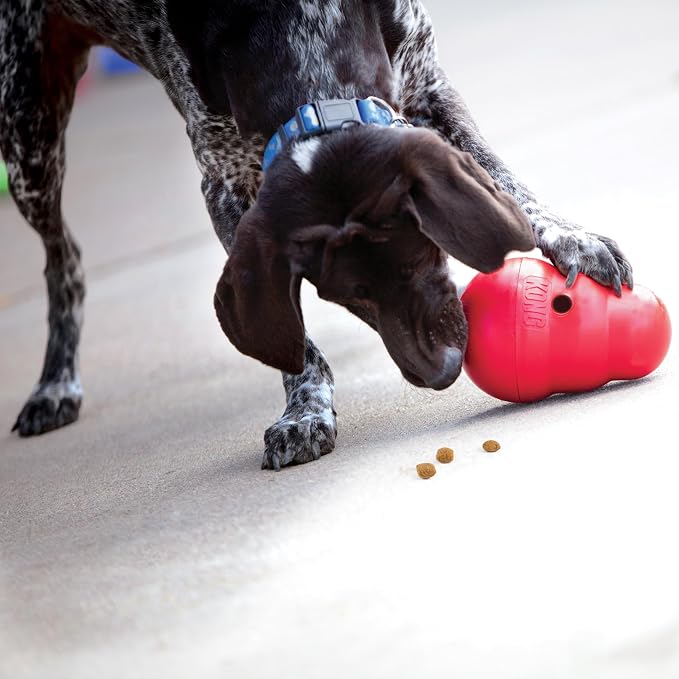 KONG Wobbler, Interactive Treat-Dispensing Dog Toy, for Medium/Large Dogs | Interactive Treat-Dispensing Toy & Slow Feeder That Supports Healthy Eating & Keeps Dogs Mentally Busy