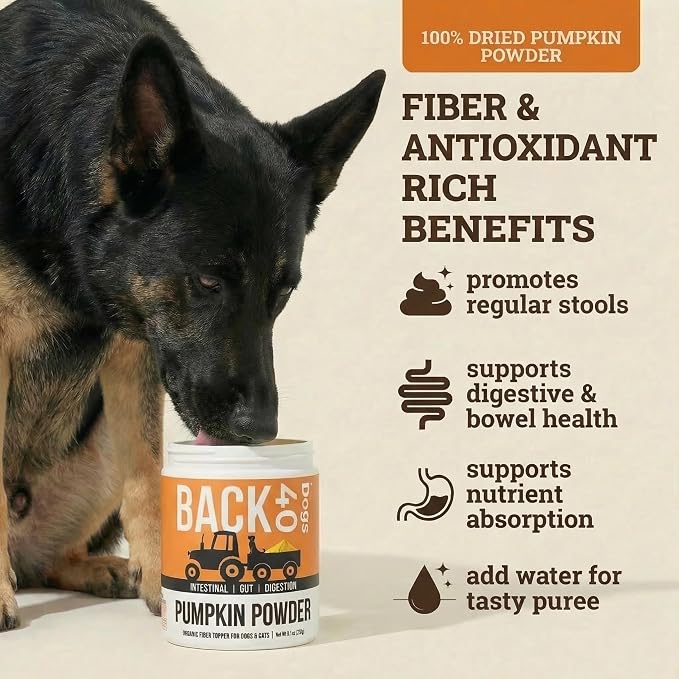 Pumpkin Powder for Dogs - Powder Pumpkin Dog Food Toppers - Rich in Fiber Supplement Helps with Gut & Digestion, Nutrient Absorption, Diarrhea, Constipation & Upset Stomach- 8.1oz- Made in USA