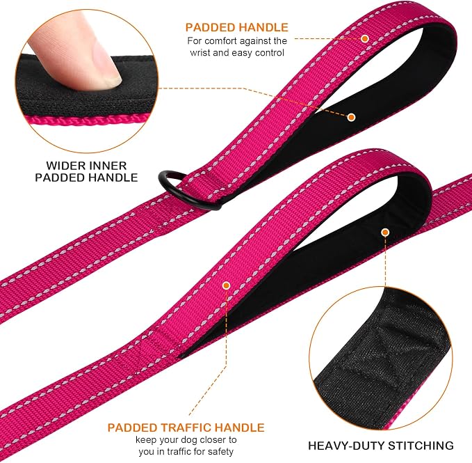 Joytale 6FT Double Handle Dog Leash for Training, Martingale Dog Collar(18.5-25"), Hotpink