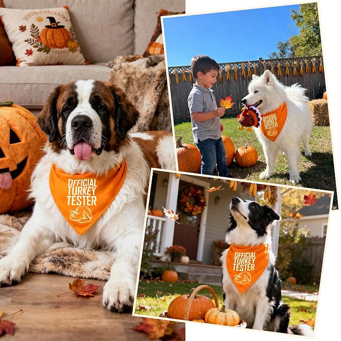 Fall Dog Bandana Theme, Turkey, Medium, Small, Orange
