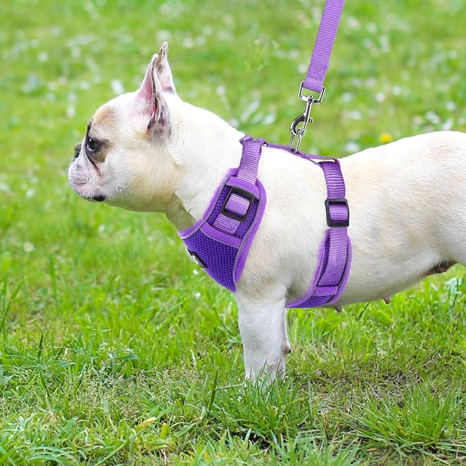 PUPTECK Small Dog Harness and Leash Set, No Pull Adjustable Puppy Cat Harness, Reflective Soft Mesh Pet Vest Small Sized, Purple, XS