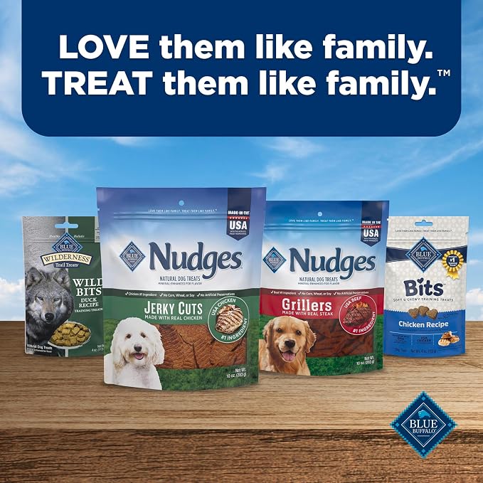 Blue Buffalo Nudges Jerky Bites Dog Treats, Made in the USA with Natural Ingredients, Bite-Sized Pieces, Chicken, 16-oz Bag, (Pack of 4)