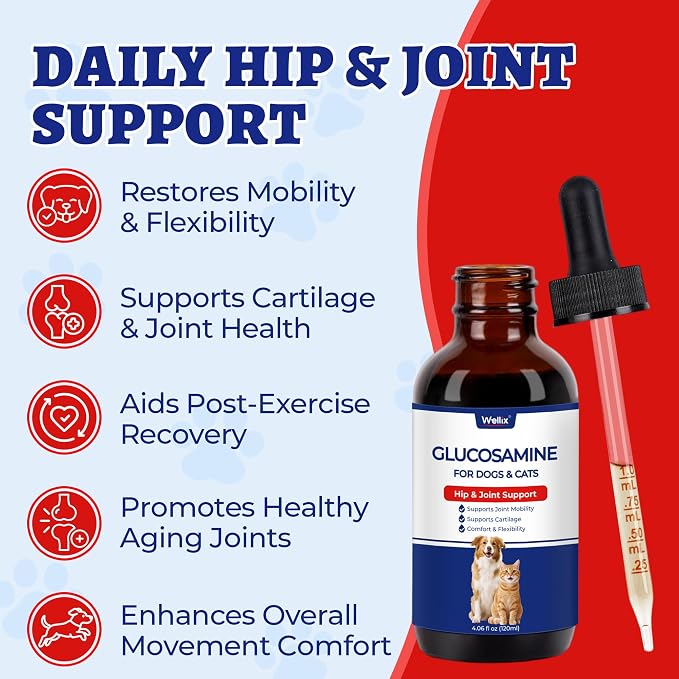Wellix 4 oz Joint Supplement Drops for Dogs & Cats - Mild Turmeric Formula