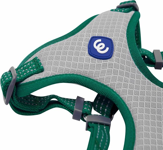 Blueberry Pet Essentials Back to Basics Reflective Dog Harness Vest, Dark Green, Small, Adjustable Harnesses for Dogs