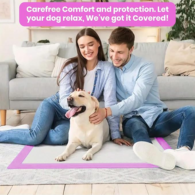 FPN Puppy Pads for Dogs 40 Count 24x24 Inch | Disposable Pee Pads for Dogs & Puppies | Dog Training Pads, Large Pet Training Pads for Potty Training & Indoor Use