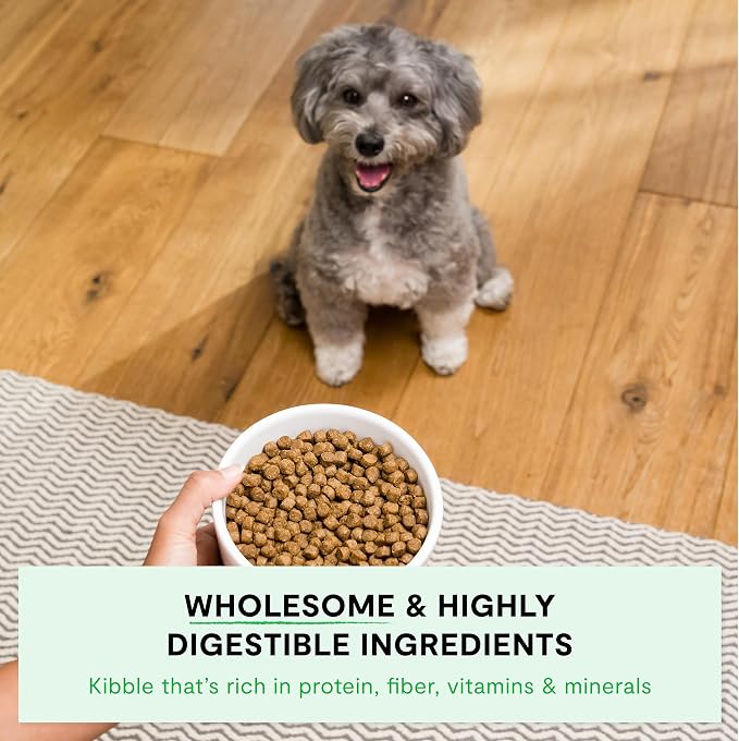 Open Farm Ancient Grains Dry Dog Food, Small Breed Kibble, 4lb Bag
