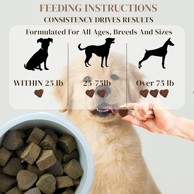 Dog Multivitamin Chews 10-in-1 - Glucosamine Probiotics 3 Billion CFU Omega CoQ10 - Dog Vitamins for Joint Immune Gut Skin Coat - 90 Soft Chews