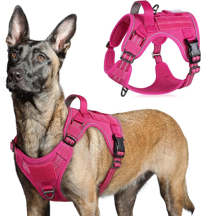 rabbitgoo Tactical Dog Harness for Large, No Pull Military Service Vest | Molle & Handle, Heavy Duty, Adjustable, Reflective Straps, Easy Control for Training Walking, Rose Red, Large