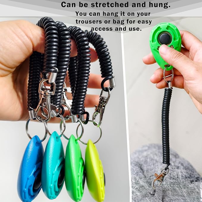 Pet Training Clicker with Wrist Strap, Aqua/Jade Green/Blue/Lime Green