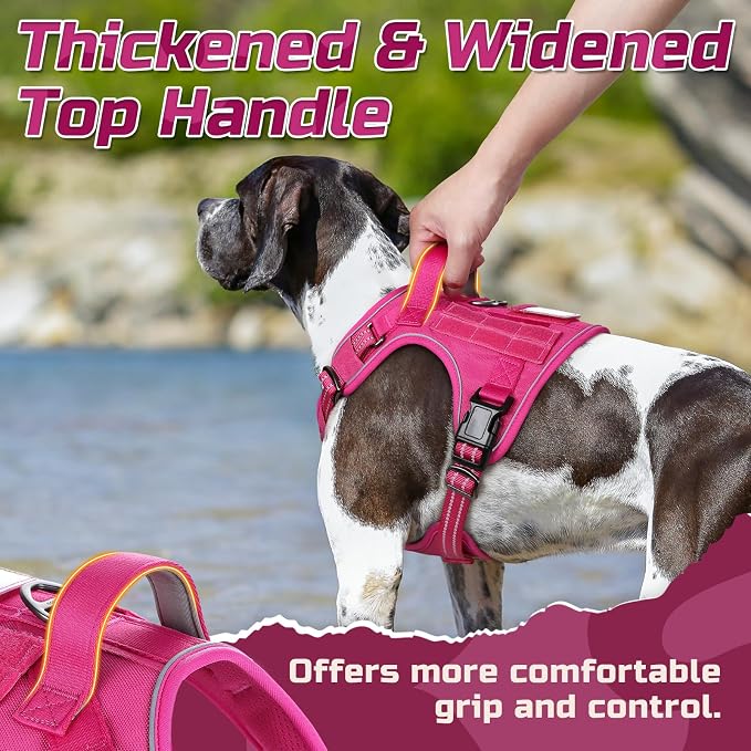 rabbitgoo Tactical Dog Harness for Medium, No Pull Military Service Vest | Molle & Handle, Heavy Duty, Adjustable, Reflective Straps, Easy Control for Training Walking, Rose Red, Medium