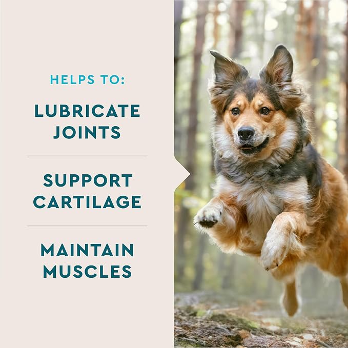 VetIQ Glucosamine Hip & Joint Supplement for Dogs, 60 Soft Chews, Joint Support Supplement with MSM and Krill, Dog Health Supplies Large & Small Breed, Chicken Flavored Chewables | Supports mobility for large & small breeds; glucosamine, MSM & krill oi...