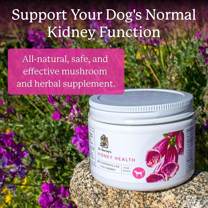 Dr. Harvey's Kidney Health Kidney Support Supplement for Dogs (4 Ounces) | 100% Human Grade - 4 oz Container
