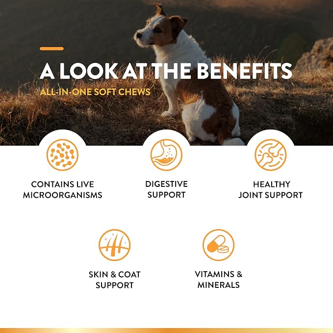 NaturVet All-in-One Dog Supplement - for Joint Support, Digestion, Skin, Coat Care – 120 Soft Chews & No Scoot for Dogs - 120 Soft Chews - Supports Healthy Anal Gland & Bowel Function