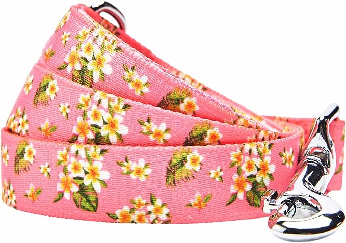 Blueberry Pet Summer Sparkle Dog Leash, Medium Size, 5 ft x 3/4", Tropical Flower Baby Pink, Hibiscus Floral Print Pet Leash